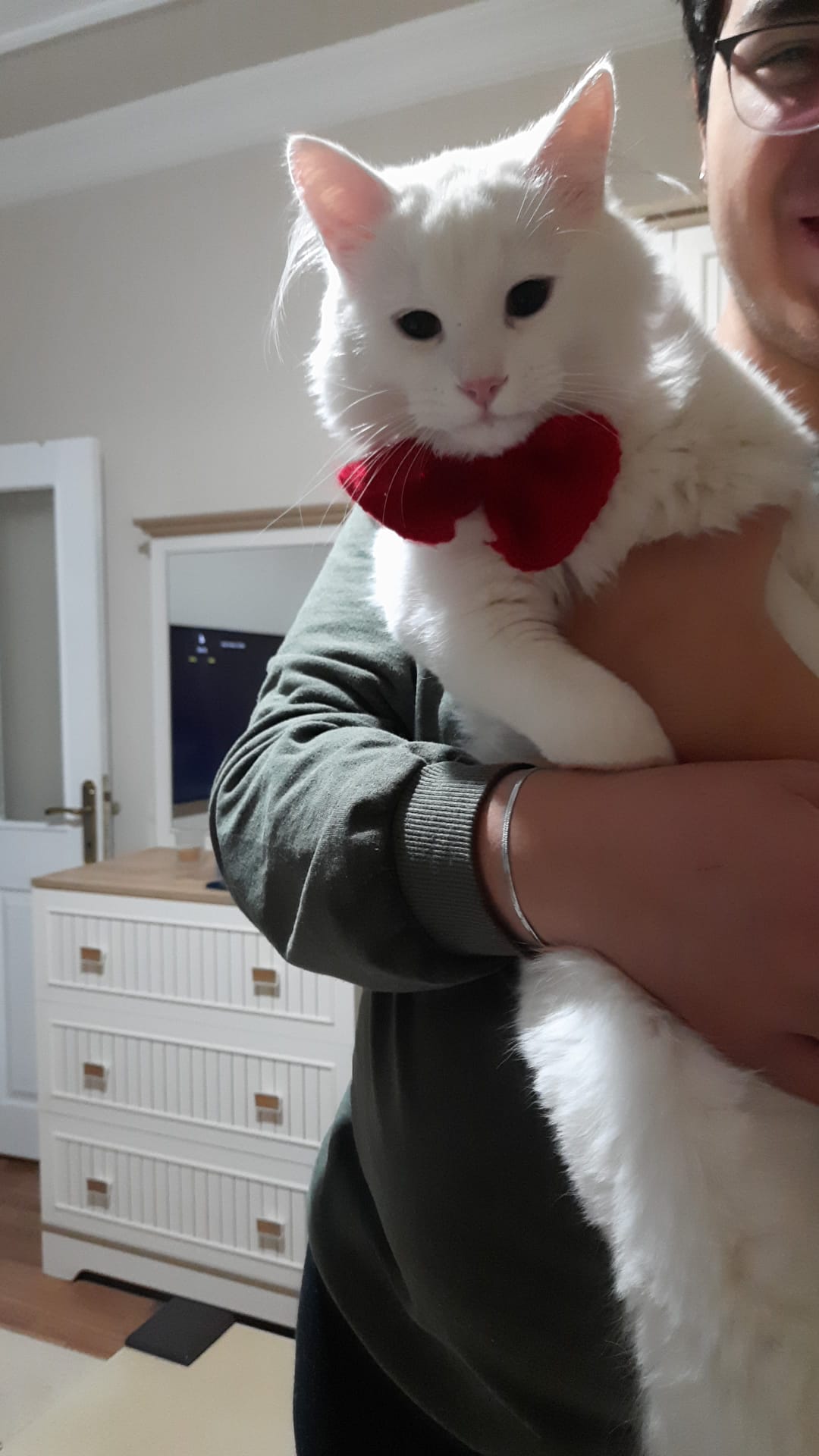 Bulut (erkek) 9 aylık - Foto 5